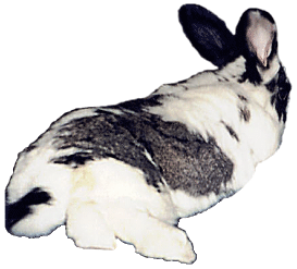 marvin5